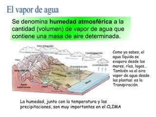 Se denomina humedad atmosférica a la
cantidad (volumen) de vapor de agua que
contiene una masa de aire determinada.
Como ya sabes, el
agua líquida se
evapora desde los
mares, ríos, lagos…
También va al aira
vapor de agua desde
las plantas: es la
Transpiración.
La humedad, junto con la temperatura y las
precipitaciones, son muy importantes en el CLIMA
 