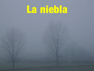 La niebla
 