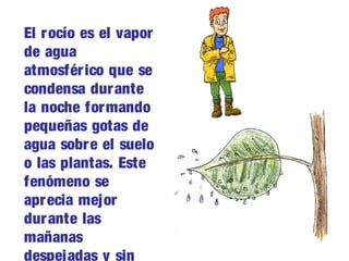 El rocío es el vapor
de agua
atmosférico que se
condensa durante
la noche formando
pequeñas gotas de
agua sobre el suelo
o las plantas. Este
fenómeno se
aprecia mejor
durante las
mañanas
despejadas y sin
 