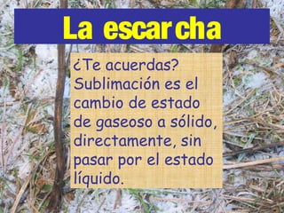 La escarcha
Se forma por
sublimación de vapor
de agua directamente a
hielo. Se da en noches
despejadas muy frías,
por debajo de los 0ºC
¿Te acuerdas?
Sublimación es el
cambio de estado
de gaseoso a sólido,
directamente, sin
pasar por el estado
líquido.
 