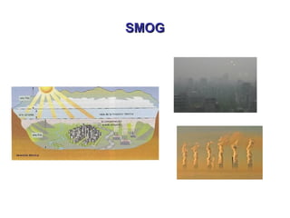 SMOGSMOG
 