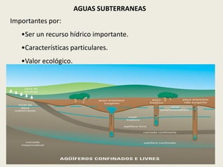 AGUAS SUBTERRANEAS
Importantes por:
•Ser un recurso hídrico importante.

•Características particulares.
•Valor ecológico.

 