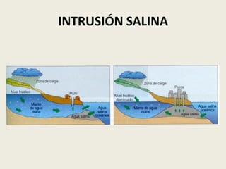 INTRUSIÓN SALINA

 