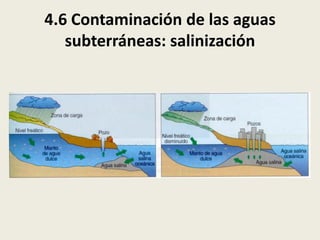 4.6 Contaminación de las aguas
subterráneas: salinización

 