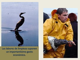 Las labores de limpieza suponen
un importantísimo gasto
económico.

 