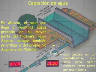 Captación de agua

En Murcia, el agua que
llega a nuestras casas
procede en su mayor
parte del trasvase TajoSegura, aunque también
se utiliza la del propio río
Segura y del Taibilla.

aquí puedes ver un
caudalímetro,
que
sirve para medir
cuántos litros pasan
por una tubería

 