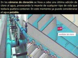 En las cámaras de cloración se lleva a cabo una última adición de
cloro al agua, provocando la muerte de cualquier tipo de vida que
todavía pudiera contener. En este momento ya puede considerarse
el agua potable.

medidor de cloro

 
