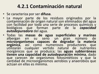 4.2.1 Contaminación natural
• Se caracteriza por ser difusa.
• La mayor parte de los residuos originados por la
contaminación de origen natural son eliminados del agua
con facilidad por toda una serie de procesos químicos y
biológicos que forman parte de la capacidad
autodepuradora del agua.
• Todas las masas de agua superficiales y marinas
albergan en su seno un gran número de
microorganismos capaces de degradar la materia
orgánica, así como numerosos productores que
utilizarán cualquier vertido natural de nutrientes
inorgánicos que se produzca; las aguas subterráneas
tienen una capacidad de autodepuración mínima, dado
que carecen de organismos fotosintéticos y que la
cantidad de microorganismos aerobios y anaerobios que
actúan en ellas es mínima.

 