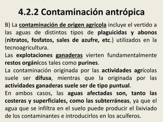 4.2.2 Contaminación antrópica
B) La contaminación de origen agrícola incluye el vertido a
las aguas de distintos tipos de plaguicidas y abonos
(nitratos, fosfatos, sales de azufre, etc.) utilizados en la
tecnoagricultura.
Las explotaciones ganaderas vierten fundamentalmente
restos orgánicos tales como purines.
La contaminación originada por las actividades agrícolas
suele ser difusa, mientras que la originada por las
actividades ganaderas suele ser de tipo puntual.
En ambos casos, las aguas afectadas son, tanto las
costeras y superficiales, como las subterráneas, ya que el
agua que se infiltra en el suelo puede producir el lixiviado
de los contaminantes e introducirlos en los acuíferos.

 