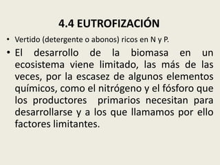 4.4 EUTROFIZACIÓN
• Vertido (detergente o abonos) ricos en N y P.

• El desarrollo de la biomasa en un
ecosistema viene limitado, las más de las
veces, por la escasez de algunos elementos
químicos, como el nitrógeno y el fósforo que
los productores primarios necesitan para
desarrollarse y a los que llamamos por ello
factores limitantes.

 