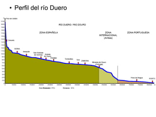 ●

Perfil del río Duero

 