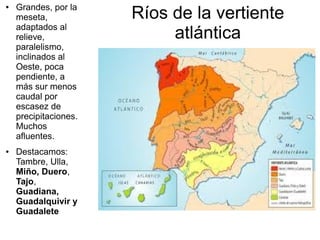 ●

●

Grandes, por la
meseta,
adaptados al
relieve,
paralelismo,
inclinados al
Oeste, poca
pendiente, a
más sur menos
caudal por
escasez de
precipitaciones.
Muchos
afluentes.
Destacamos:
Tambre, Ulla,
Miño, Duero,
Tajo,
Guadiana,
Guadalquivir y
Guadalete

Ríos de la vertiente
atlántica

 