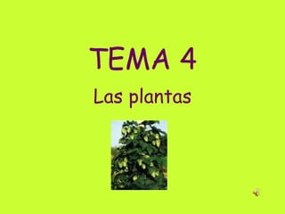 TEMA 4 Las plantas 