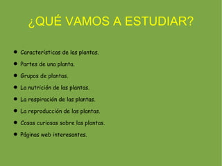 ¿QUÉ VAMOS A ESTUDIAR?

 Características de las plantas.

 Partes de una planta.

 Grupos de plantas.

 La nutrición de las plantas.

 La respiración de las plantas.

 La reproducción de las plantas.

 Cosas curiosas sobre las plantas.

 Páginas web interesantes.
 