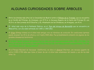 ALGUNAS CURIOSIDADES SOBRE ÁRBOLES

   Entre los árboles más altos de la Comunidad de Madrid están el Plátano de la Trinidad, que se encuentra
    en el Jardín del Príncipe, de Aranjuez, con 47,5 m; la Secuoya Gigante de la Casita del Príncipe II, con
    41,5 m, en San Lorenzo de El Escorial, y EL Ahuehuete de los Chinescos, en Aranjuez, con 41 m.

   El árbol más viejo de la Península Ibérica, es el Tejo del Arroyo de Barondillo que se encuentra en
    (Rascafría), con una edad estimada de 1.000 a 1.500 años.

   El Gingo (Ginkgo biloba) es el árbol más antiguo vivo en términos de evolución. En condiciones óptimas
    puede alcanzar los 30 m de altura y vivir hasta 1000 años. Fue probablemente alimento de algunos de los
    grandes dinosaurios herbívoros.

   En el Real Jardín botánico de Madrid, hay un olmo con una edad aproximada entre 200 y 220 años. Su
    altura es de unos 34 metros y tiene una forma muy curiosa, sus ramas parecen unos pantalones. Por ello
    se le conoce como el “olmo pantalones”.

   En el Parque Nacional de Secuoyas (California), se eleva el General Sherman, una secuoya gigante de
    entre 2.300-2.700 años que tiene el honor de ser el árbol más voluminoso del mundo y uno de los más
    altos. Su
 