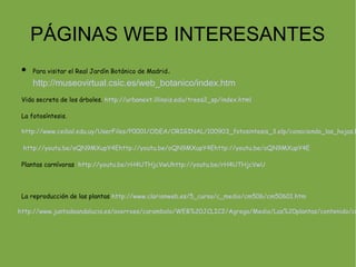 PÁGINAS WEB INTERESANTES
    Para visitar el Real Jardín Botánico de Madrid .

     http://museovirtual.csic.es/web_botanico/index.htm
 Vida secreta de los árboles. http://urbanext.illinois.edu/trees2_sp/index.html

 La fotosíntesis.

 http://www.ceibal.edu.uy/UserFiles/P0001/ODEA/ORIGINAL/100903_fotosintesis_3.elp/conociendo_las_hojas.h

 http://youtu.be/oQN9MXupY4Ehttp://youtu.be/oQN9MXupY4Ehttp://youtu.be/oQN9MXupY4E

 Plantas carnívoras http://youtu.be/rH4UTHjcVwUhttp://youtu.be/rH4UTHjcVwU




 La reproducción de las plantas http://www.clarionweb.es/5_curso/c_medio/cm506/cm50601.htm

http://www.juntadeandalucia.es/averroes/carambolo/WEB%20JCLIC2/Agrega/Medio/Las%20plantas/contenido/cm
 