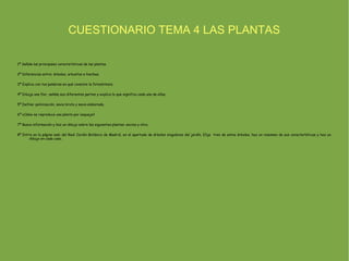 CUESTIONARIO TEMA 4 LAS PLANTAS

1º Señala las principales características de las plantas.

2º Diferencias entre: árboles, arbustos e hierbas.

3º Explica con tus palabras en qué consiste la fotosíntesis.

4º Dibuja una flor, señala sus diferentes partes y explica lo que significa cada una de ellas,

5º Define: polinización, savia bruta y savia elaborada.

6º ¿Cómo se reproduce una planta por esqueje?

7º Busca información y haz un dibujo sobre las siguientes plantas: encina y olivo.

8º Entra en la página web del Real Jardín Botánico de Madrid, en el apartado de árboles singulares del jardín, Elije tres de estos árboles, haz un resumen de sus características y haz un
       dibujo en cada caso.
 