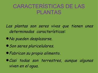 CARACTERÍSTICAS DE LAS
         PLANTAS

Las plantas son seres vivos que tienen unas
 determinadas características:
 No pueden desplazarse.
 Son seres pluricelulares.
 Fabrican su propio alimento.
 Casi todas son terrestres, aunque algunas
  viven en el agua.
 
