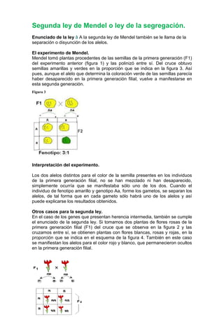 Tema 4 Leyes De Mendel Blog