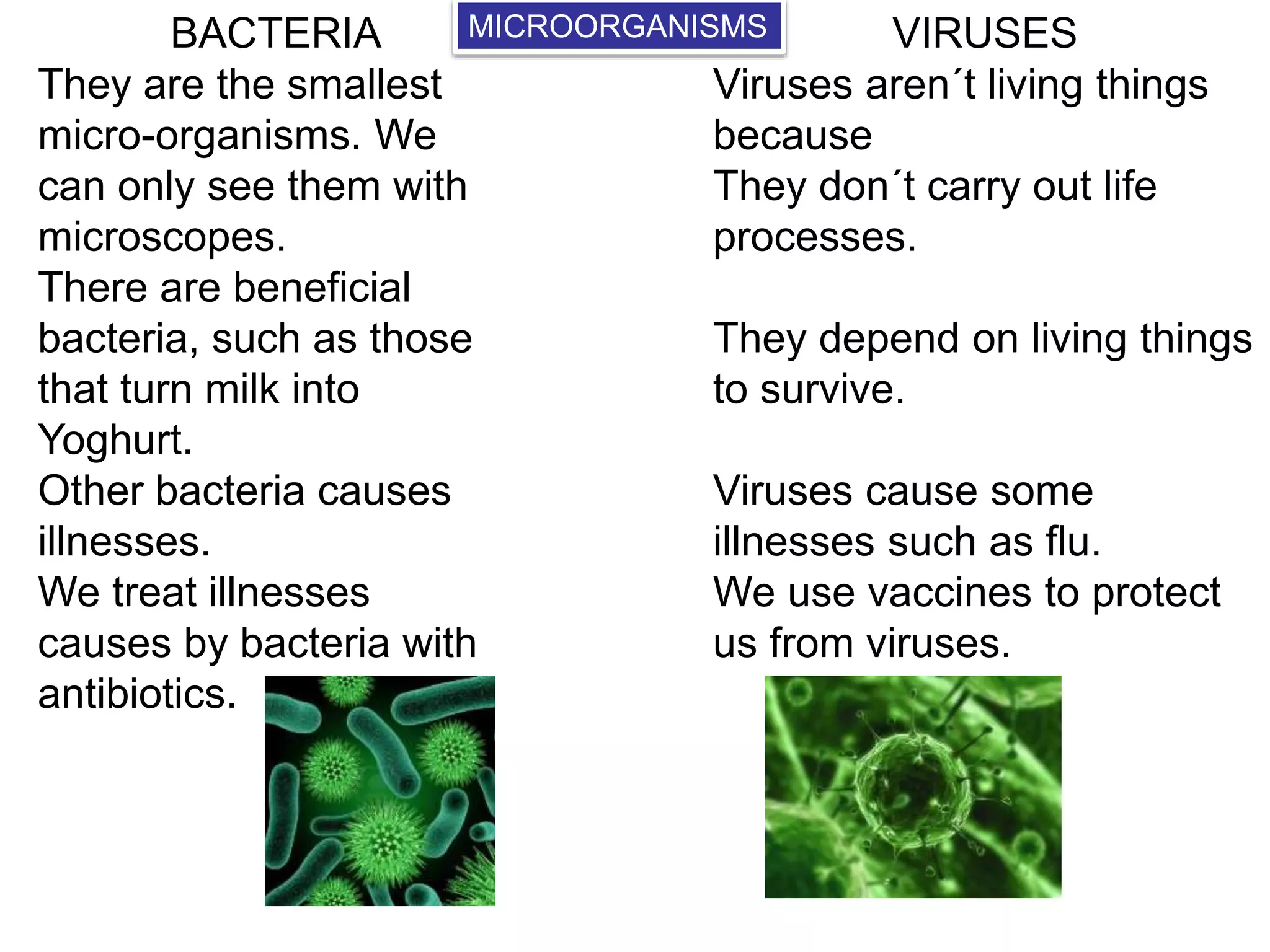 BACTERIA 
MICROORGANISMS 
They are the smallest 
micro-organisms. We 
can only see them with 
microscopes. 
There are beneficial 
bacteria, such as those 
that turn milk into 
Yoghurt. 
Other bacteria causes 
illnesses. 
We treat illnesses 
causes by bacteria with 
antibiotics. 
VIRUSES 
Viruses aren´t living things 
because 
They don´t carry out life 
processes. 
They depend on living things 
to survive. 
Viruses cause some 
illnesses such as flu. 
We use vaccines to protect 
us from viruses. 
