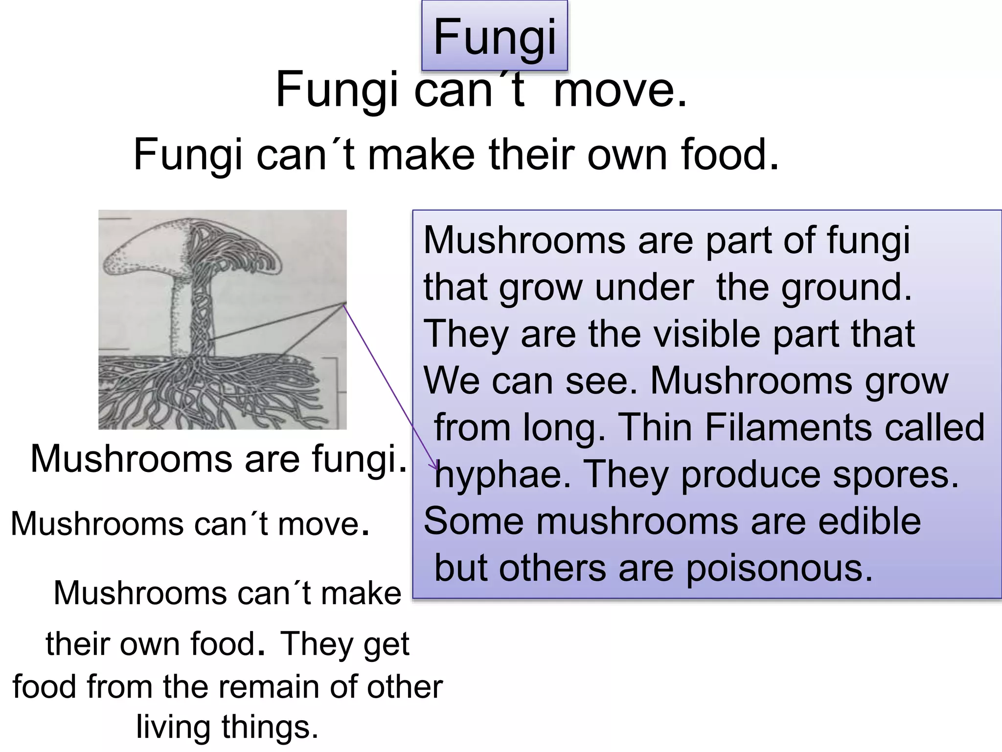 Fungi 
Fungi can´t move. 
Fungi can´t make their own food. 
Mushrooms are fungi. 
Mushrooms can´t move. 
Mushrooms can´t make 
their own food. They get 
food from the remain of other 
living things. 
Mushrooms are part of fungi 
that grow under the ground. 
They are the visible part that 
We can see. Mushrooms grow 
from long. Thin Filaments called 
hyphae. They produce spores. 
Some mushrooms are edible 
but others are poisonous. 
 