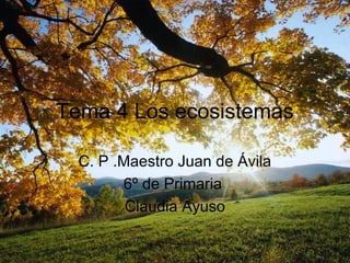 Tema 4 Los ecosistemas

  C. P .Maestro Juan de Ávila
        6º de Primaria
         Claudia Ayuso
 