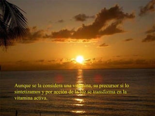 ESTEROIDES (3) - Vitamina D: es imprescindible para la absorción intestinal de calcio. Aunque se la considera una vitamina, su precursor si lo sintetizamos y por acción de la luz se transforma en la vitamina activa. 