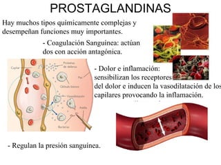 PROSTAGLANDINAS Hay muchos tipos químicamente complejas y desempeñan funciones muy importantes. - Coagulación Sanguínea: actúan dos con acción antagónica. - Dolor e inflamación:  sensibilizan los receptores  del dolor e inducen la vasodilatación de los capilares provocando la inflamación. - Regulan la presión sanguínea. 