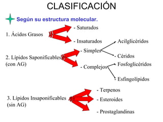 CLASIFICACIÓN Según su estructura molecular. 1. Ácidos Grasos - Saturados - Insaturados 2. Lípidos Saponificables (con AG) - Simples - Complejos - Acilglicéridos - Céridos - Fosfoglicéridos - Esfingolípidos 3. Lípidos Insaponificables (sin AG) - Terpenos - Esteroides - Prostaglandinas 