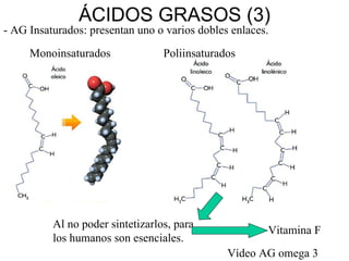 ÁCIDOS GRASOS (3) - AG Insaturados: presentan uno o varios dobles enlaces. Al no poder sintetizarlos, para los humanos son esenciales. Vitamina F Monoinsaturados Poliinsaturados Vídeo AG omega 3 