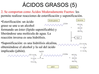 ÁCIDOS GRASOS (5) 2.  Se comportan como Ácidos  M oderadamente Fuerte s :  les permite realizar reacciones de esterificación y saponificación. Esterificación: un ácido  graso se une a un alcohol  formando un éster (lípido saponificable) y liberándose una molécula de agua. La reacción inversa es una hidrólisis. Saponificación: es una hidrólisis alcalina, obteniéndose el alcohol y la sal del ácido implicado (jabón). 