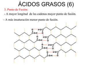 ÁCIDOS GRASOS (6) 3. Punto de Fusión: - A mayor longitud  de las cadenas mayor punto de fusión. - A más insaturación menor punto de fusión. 