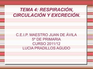 TEMA 4: RESPIRACIÓN, CIRCULACIÓN Y EXCRECIÓN. C.E.I.P. MAESTRO JUAN DE ÁVILA 5º DE PRIMARIA CURSO 2011/12 LUCIA PRADILLOS AGUDO 