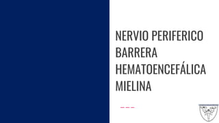 NERVIO PERIFERICO
BARRERA
HEMATOENCEFÁLICA
MIELINA
 