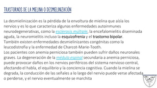 Trastornos de la mielina o desmielinización
La desmielinización es la pérdida de la envoltura de mielina que aísla los
nervios y es lo que caracteriza algunas enfermedades autoinmunes
neurodegenerativas, como la esclerosis múltiple, la encefalomielitis diseminada
aguda, la neuromielitis incluso la esquizofrenia y el trastorno bipolar.
También existen enfermedades desmielinizantes congénitas como la
leucodistrofia y la enfermedad de Charcot-Marie-Tooth.
Los pacientes con anemia perniciosa también pueden sufrir daños neuronales
graves. La degeneración de la médula espinal secundaria a anemia perniciosa,
puede provocar daños en los nervios periféricos del sistema nervioso central,
afectando el habla, el equilibrio y la conciencia cognitiva. Cuando la mielina se
degrada, la conducción de las señales a lo largo del nervio puede verse afectada
o perderse, y el nervio eventualmente se marchita
 