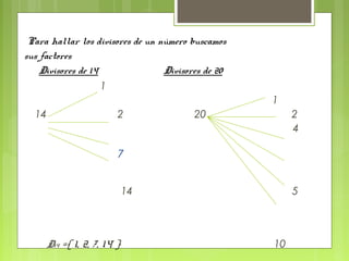 Para hallar los divisores de un número buscamos
sus factores
    Divisores de 14               Divisores de 20
                    1
                                                    1
  14                      2              20              2
                                                         4

                          7


                              14                         5



       D14 ={ 1, 2, 7, 14 }                         10
 