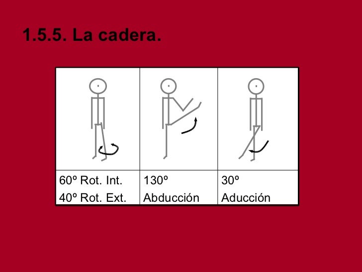 Movilidad Articular Movilidad Articular