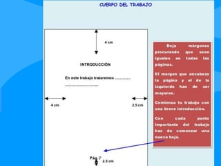 TEMA 4 LENGUA