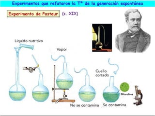 El origen de la vida
