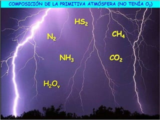 El origen de la vida
