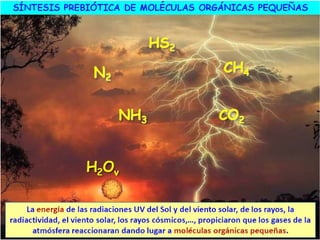 El origen de la vida