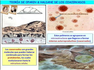 El origen de la vida