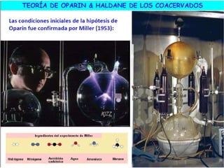 El origen de la vida