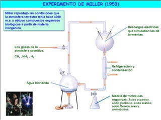 El origen de la vida