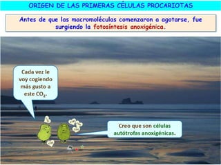 El origen de la vida