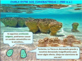 El origen de la vida