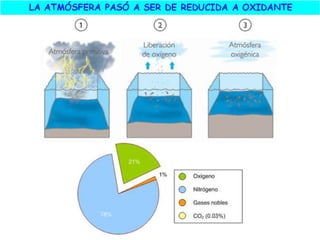 El origen de la vida
