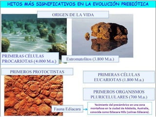 El origen de la vida