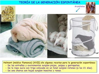 El origen de la vida