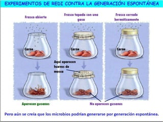 El origen de la vida